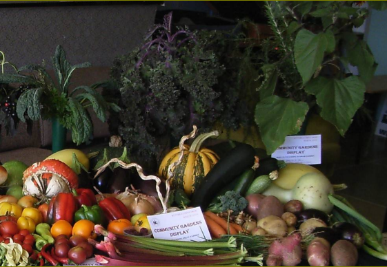 SPRING AND EARLY SUMMER VEGETABLES