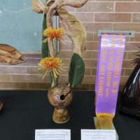 The Horticultural Society Of Canberra Inc